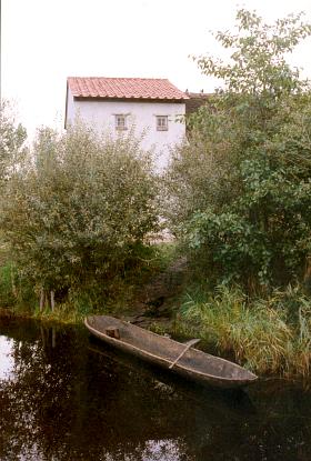 afbeelding2